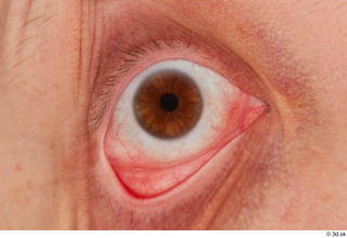 HD Face Skin Agustin Wilkerson eye eye texture iris pupil…
